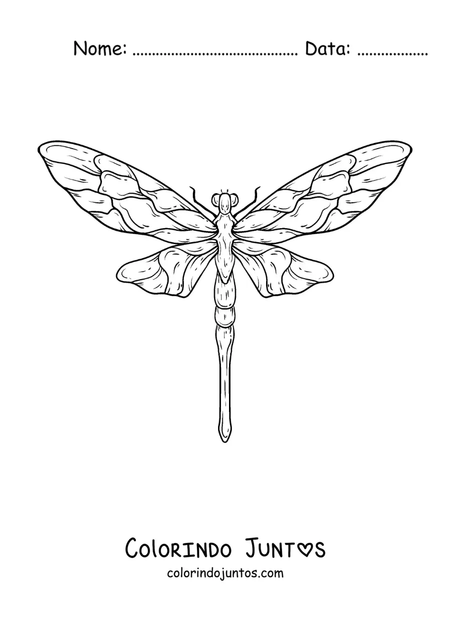 Desenho para colorir de libélula realista