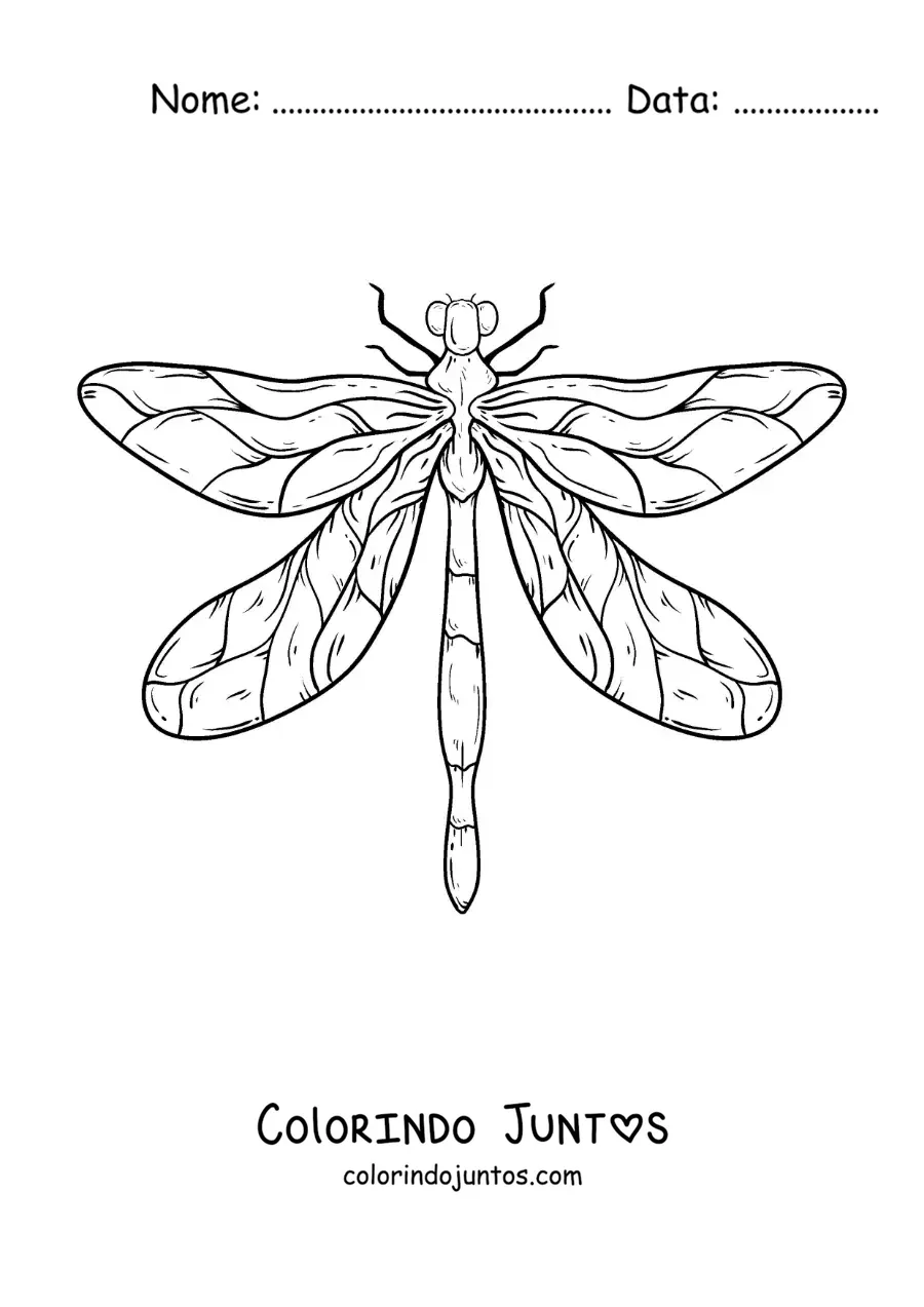Desenho para colorir de uma libélula realista grande