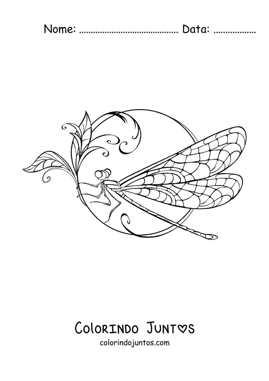Desenho para colorir de uma linda libélula em uma flor