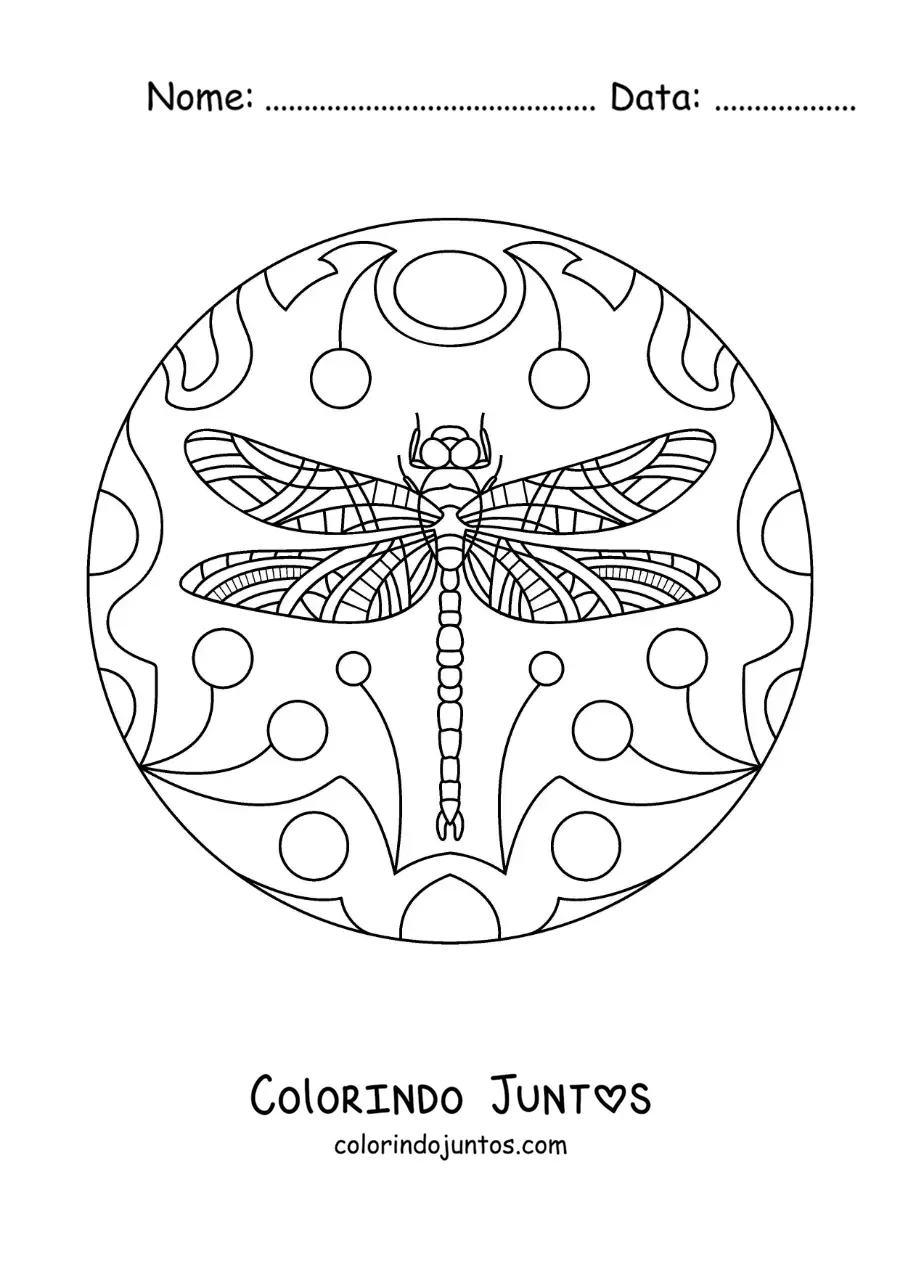 Desenho para colorir de mandala de libélula