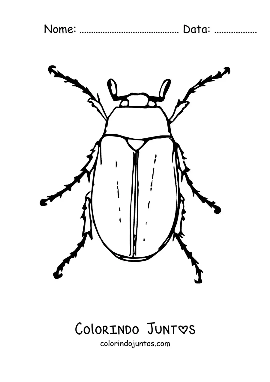 Desenho para colorir de um besouro-de-maio realista grande