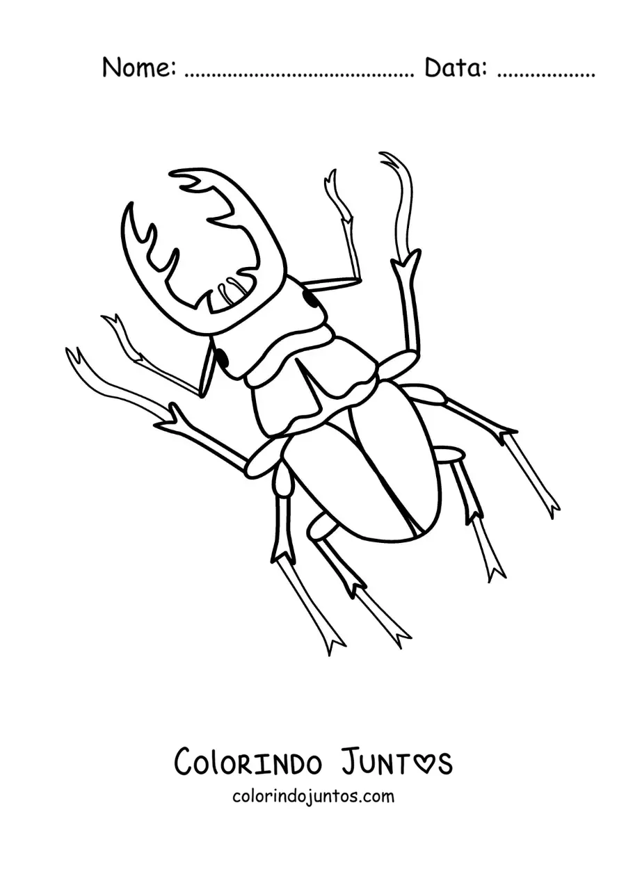 Desenho para colorir de besouro-veado