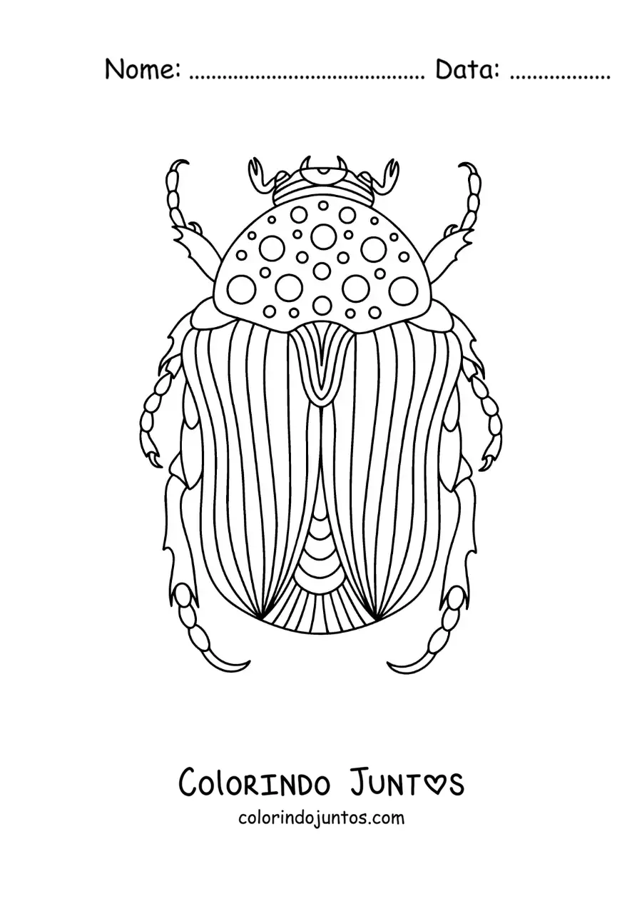 Desenho para colorir de um besouro grande