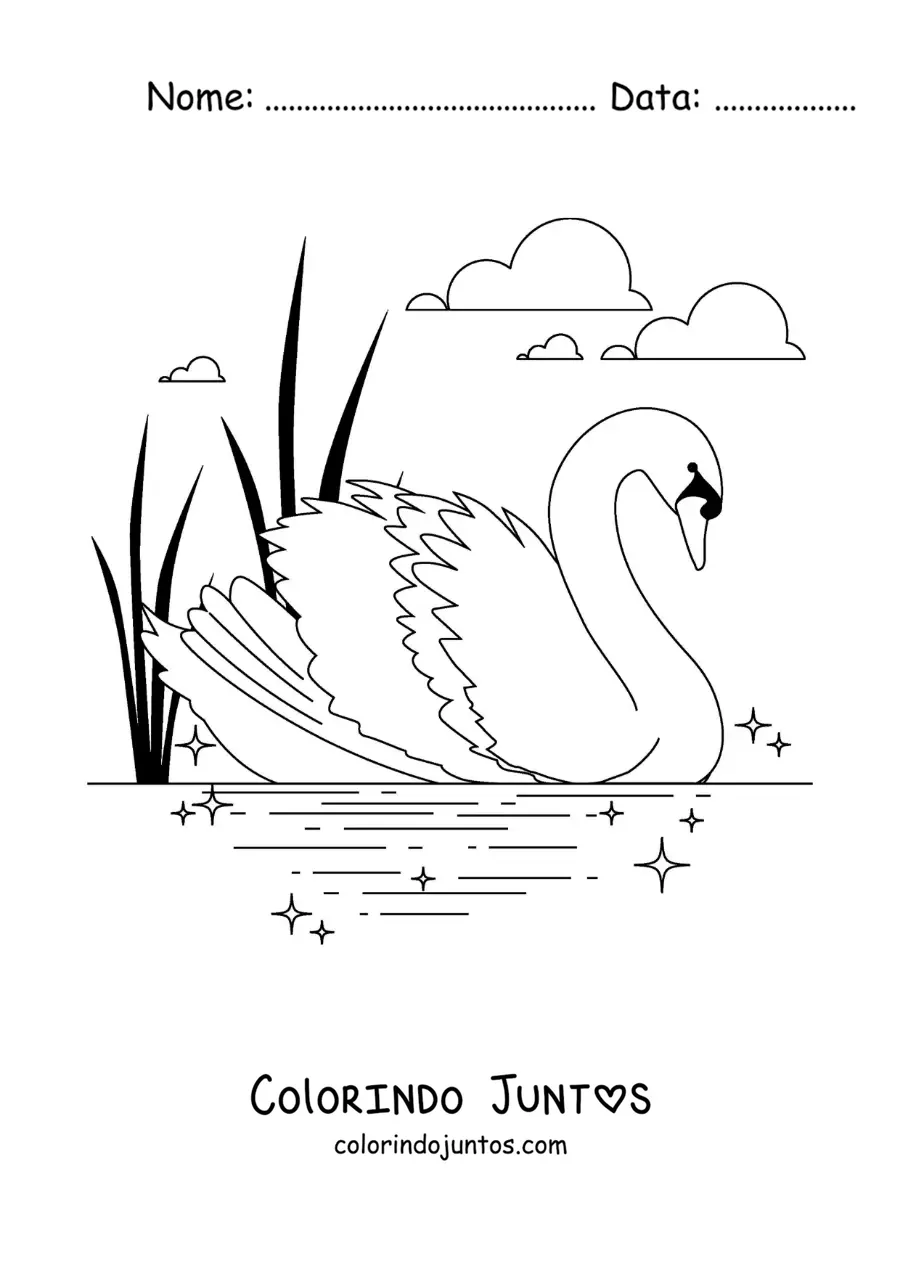 Desenho para colorir do Patinho Feio transformado em cisne