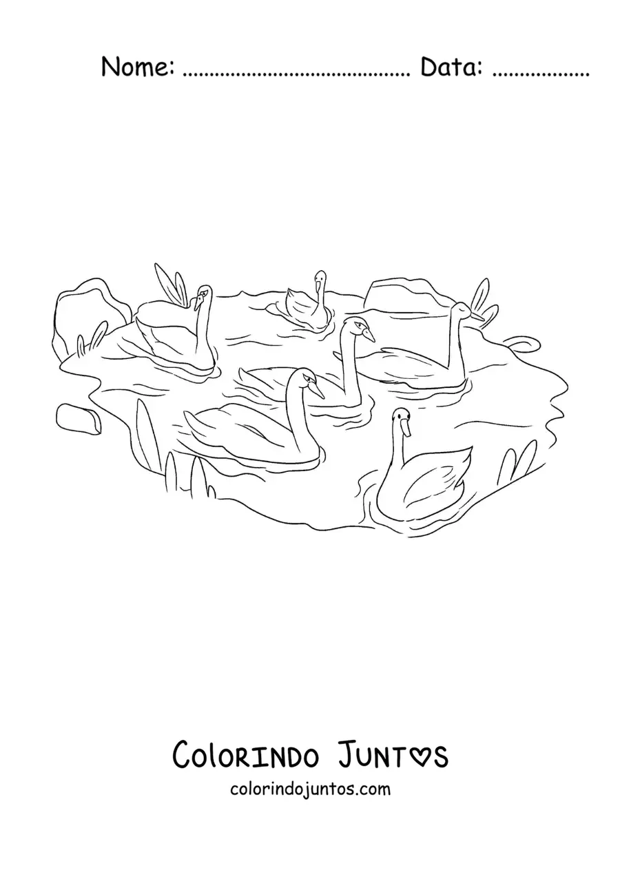 Desenho para colorir do Patinho Feio nadando com os cisnes