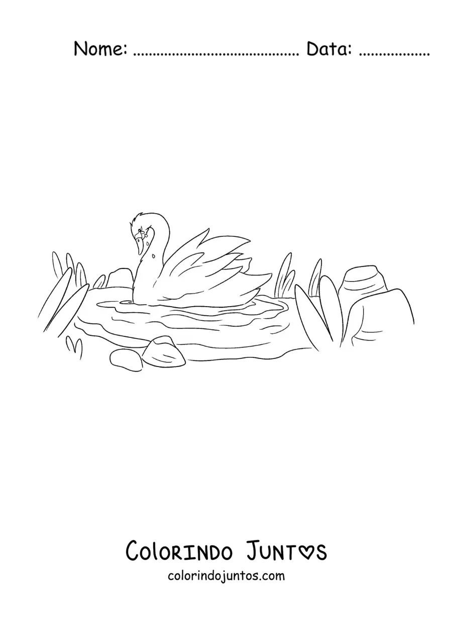 Desenho para colorir do Patinho Feio transformado em um lindo cisne