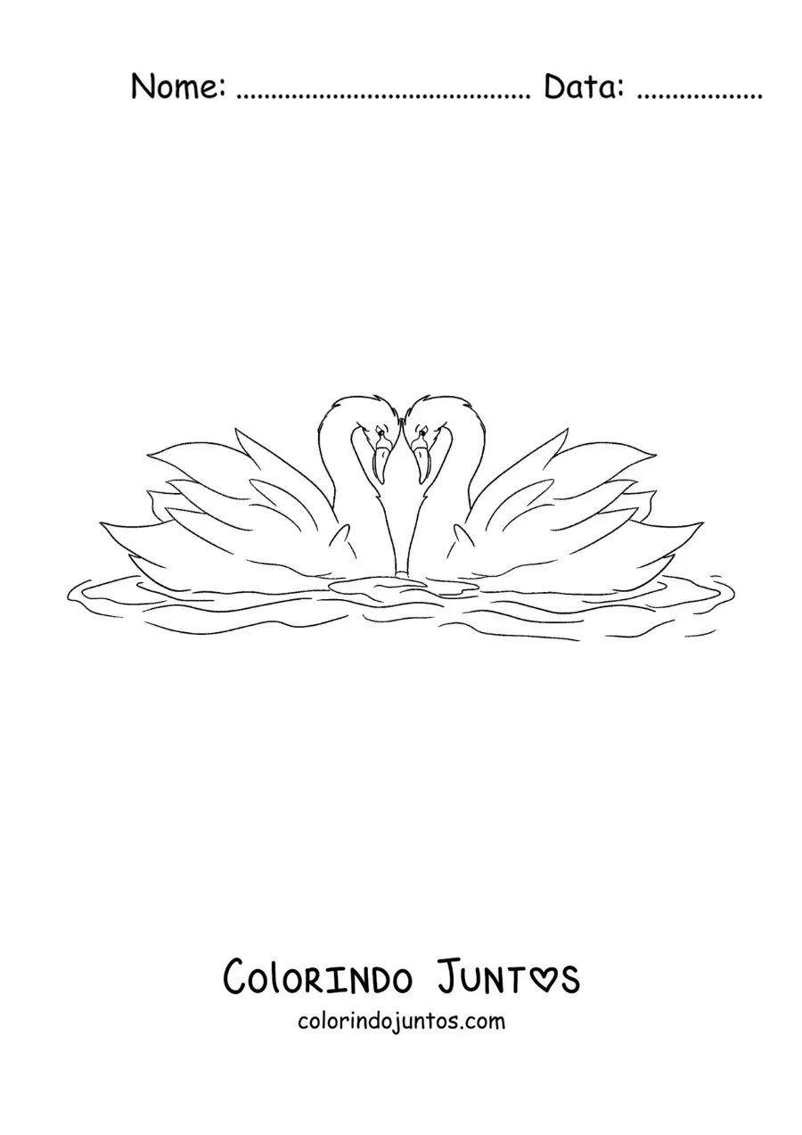 Desenho para colorir do Patinho Feio transformado em cisne apaixonado