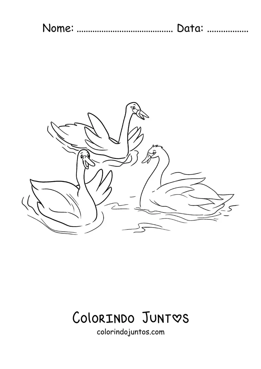 Desenho para colorir do Patinho Feio grande juntando-se aos cisnes
