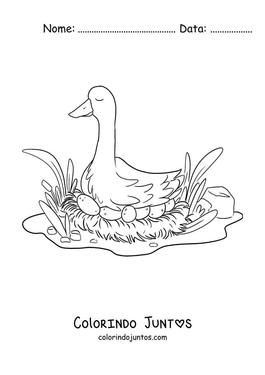Desenho para colorir da mãe do Patinho Feio chocando os ovos