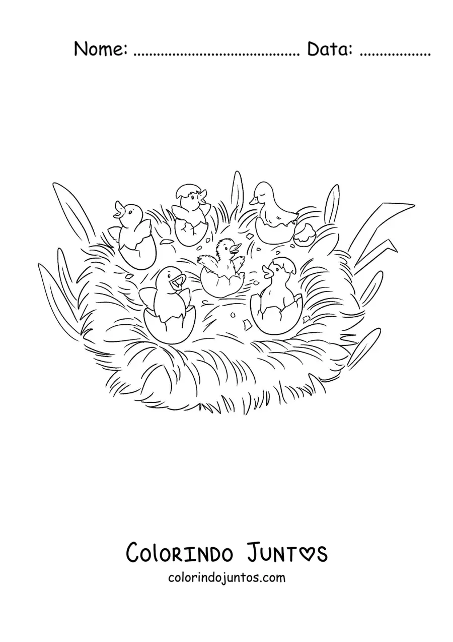 Desenho para colorir do Patinho Feio e os irmãos quebrando a casca do ovo