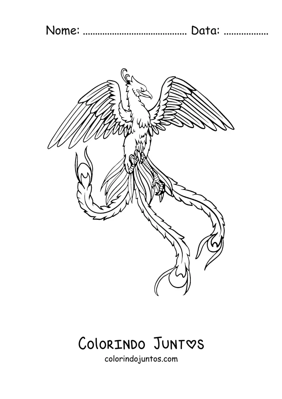 Desenho para colorir de uma fênix