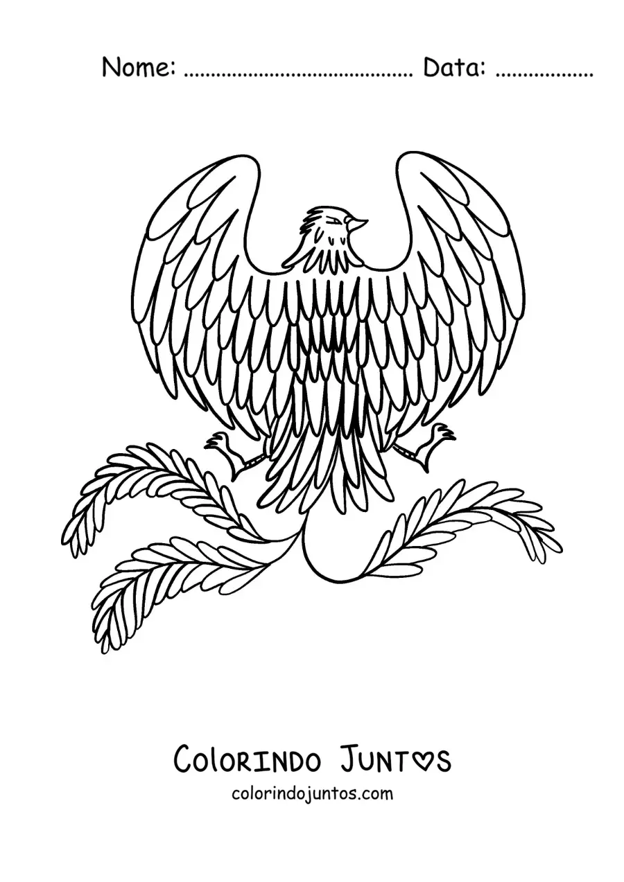 Desenho para colorir de fênix fácil