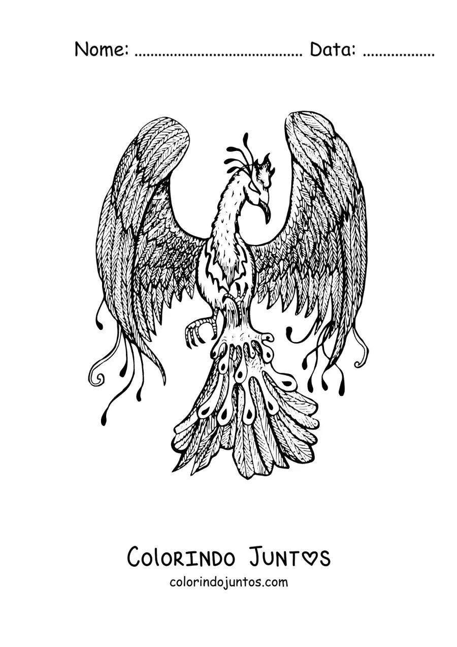 Desenho para colorir de fênix realista