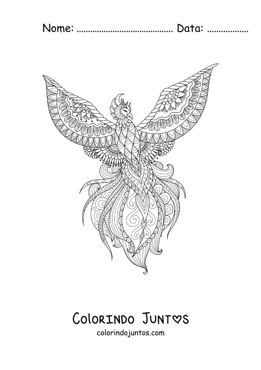 Desenho para colorir de fênix mandala