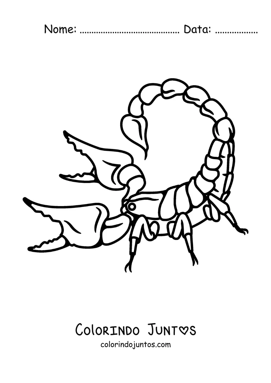 Desenho para colorir de escorpião animado