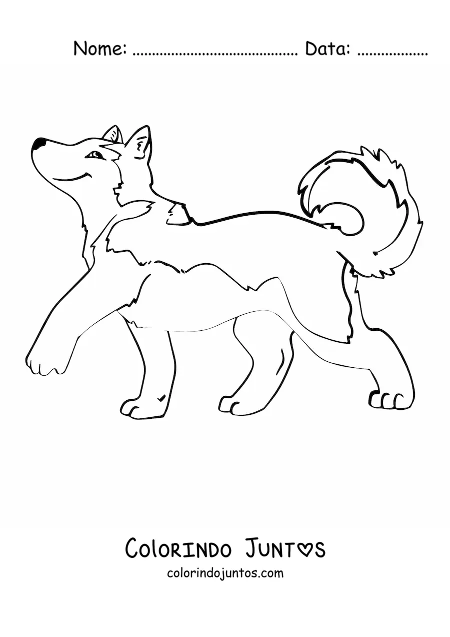 Desenho para colorir de um husky animado caminhando