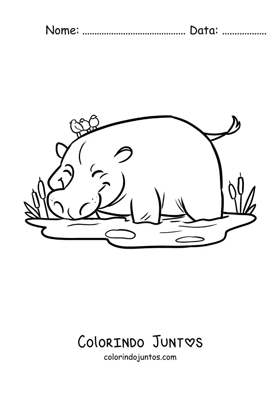 Desenho para colorir de um hipopotamo de zoologico animado bebendo de um lago