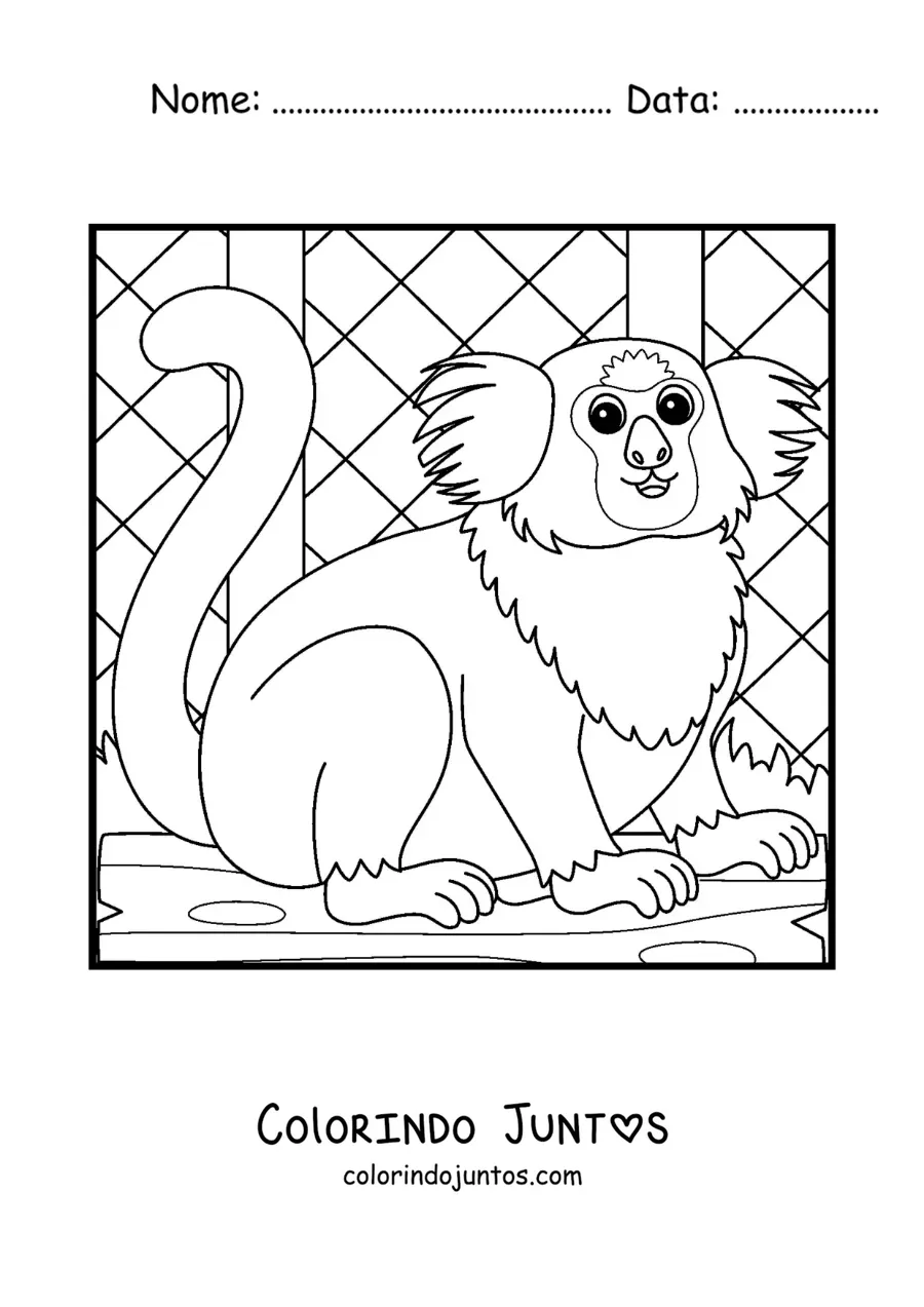 Desenho para colorir de um sagui de zoologico animado em uma jaula