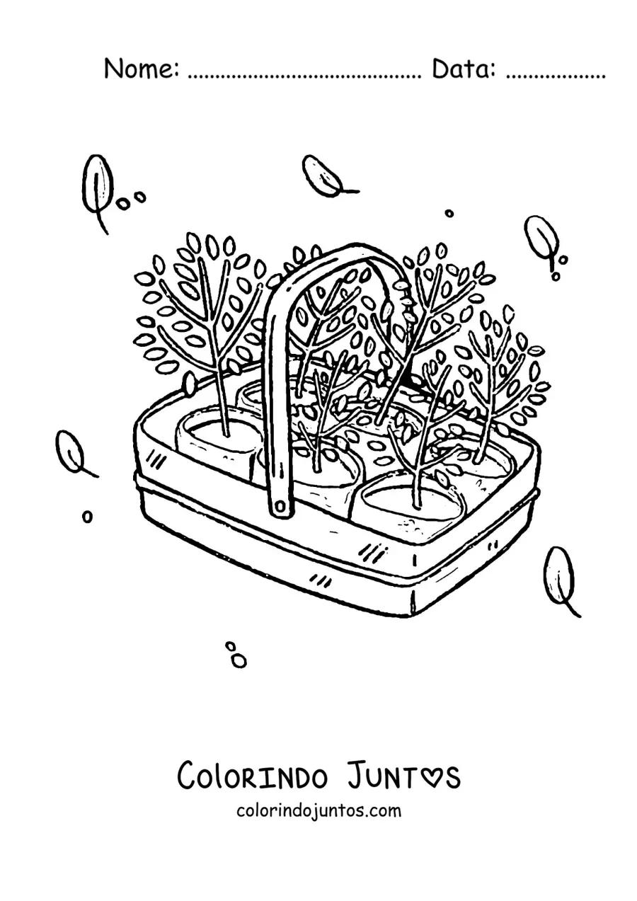 Desenho para colorir de plantas prontas para o transplante em uma cesta