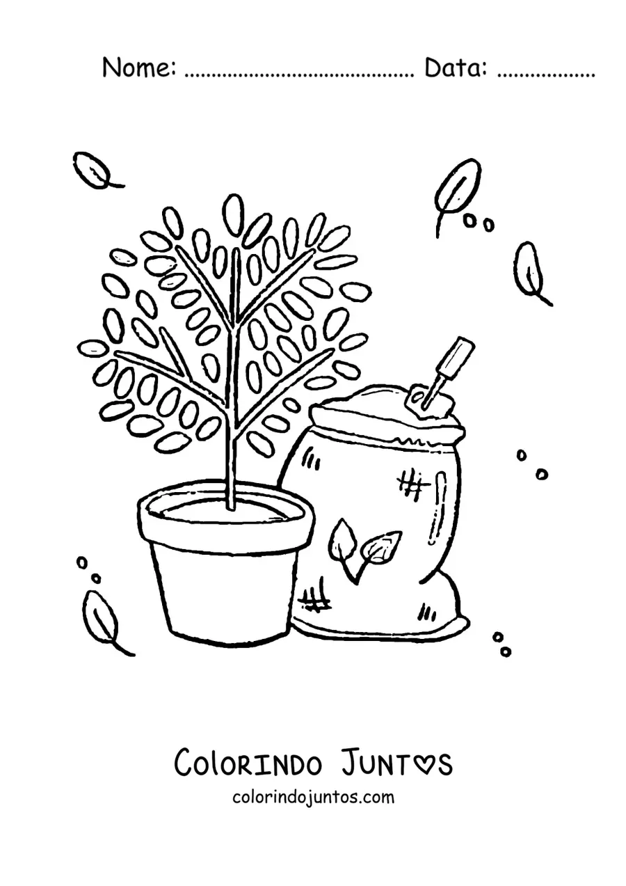 Desenho para colorir de uma planta no vaso ao lado de um saco de terra