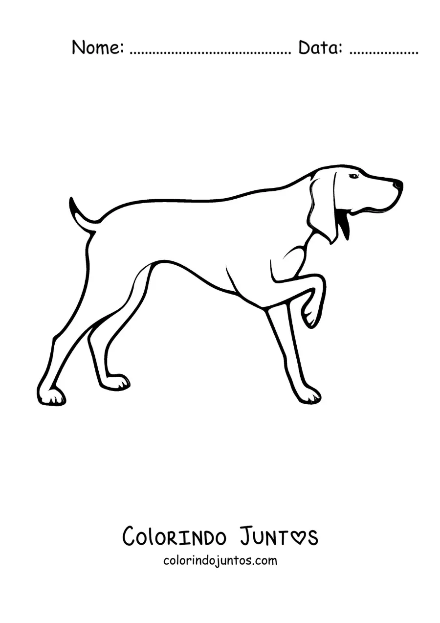 Desenho para colorir de um cão de caça