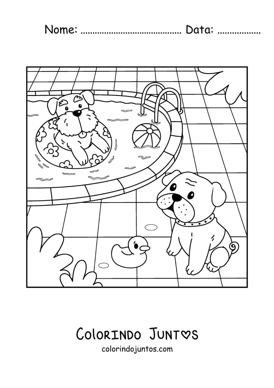 Desenho para colorir de cachorros animados em uma piscina