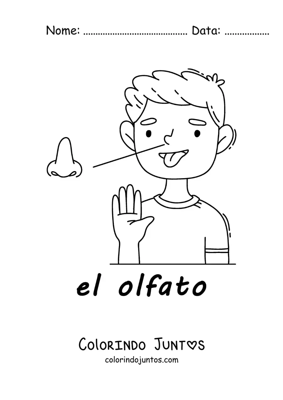 Desenho para colorir do sentido do olfato no corpo humano para crianças