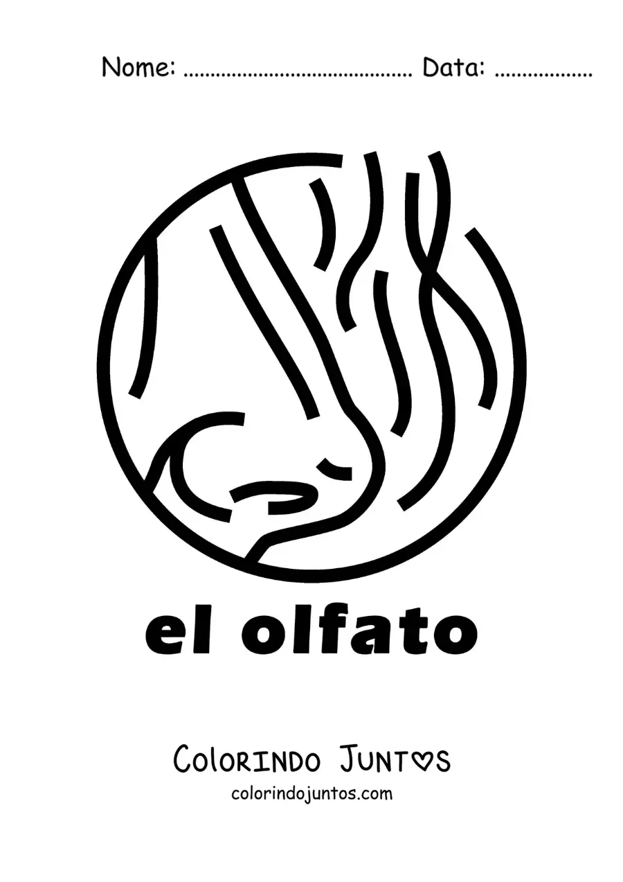 Desenho para colorir de um nariz cheirando com o texto "o olfato"