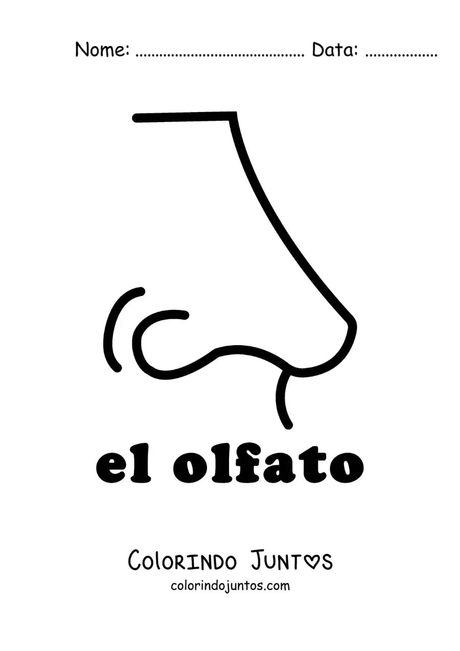 Desenho para colorir do nariz como símbolo do sentido do olfato
