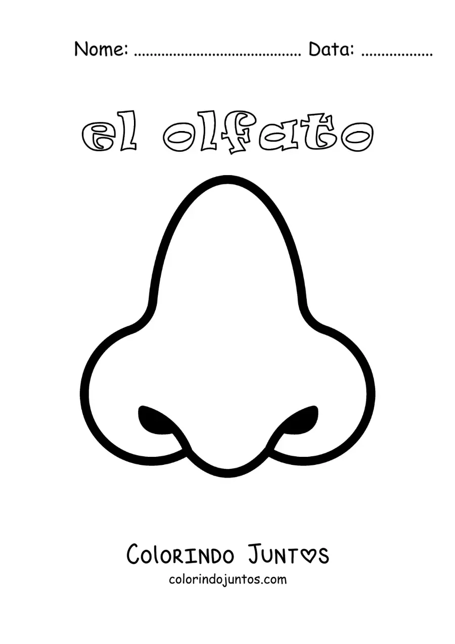 Desenho para colorir do nariz e do sentido do olfato para crianças
