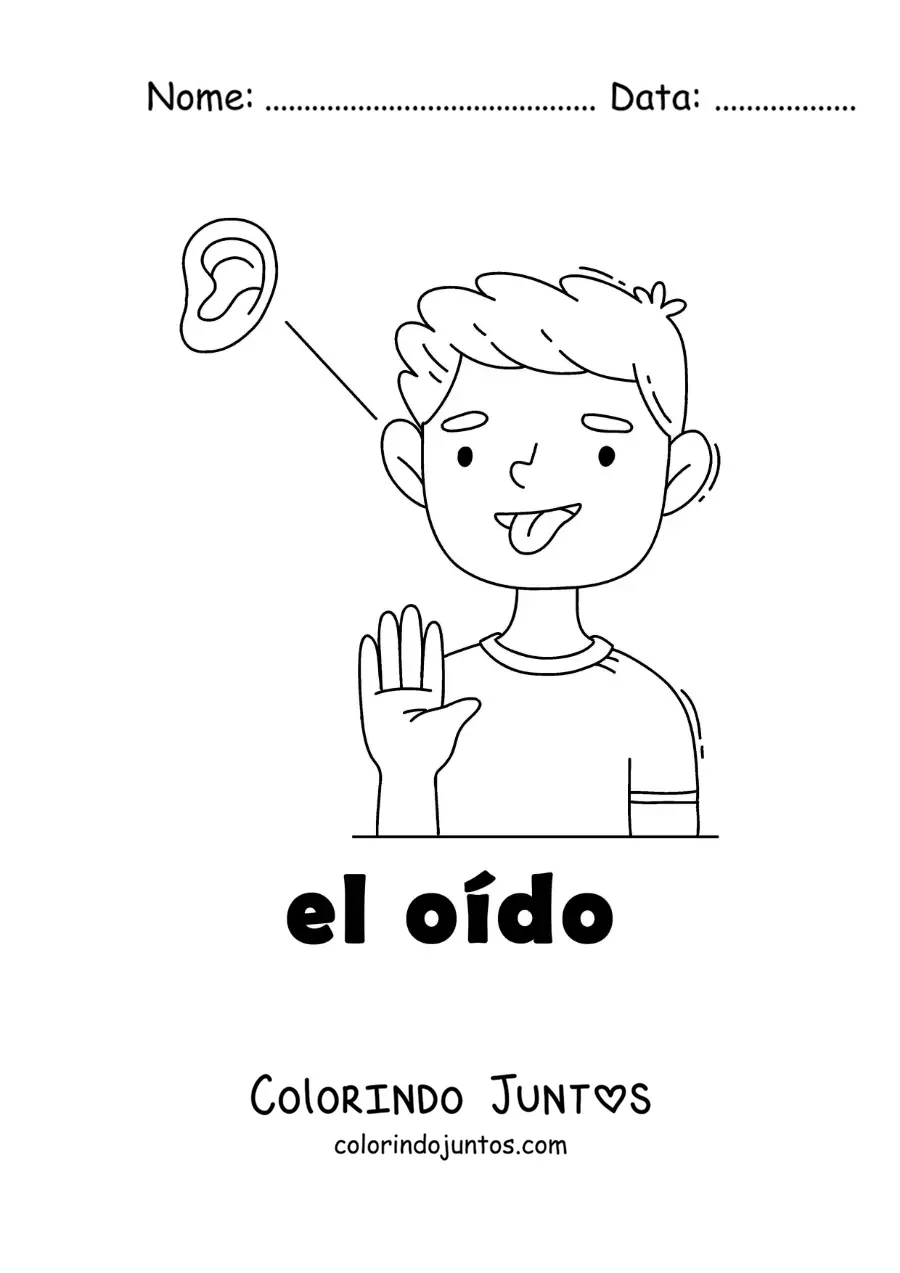Desenho para colorir do sentido da audição no corpo humano para crianças
