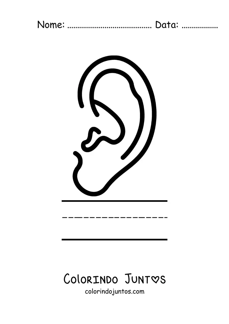 Desenho para colorir de atividade educativa para crianças sobre o sentido da audição
