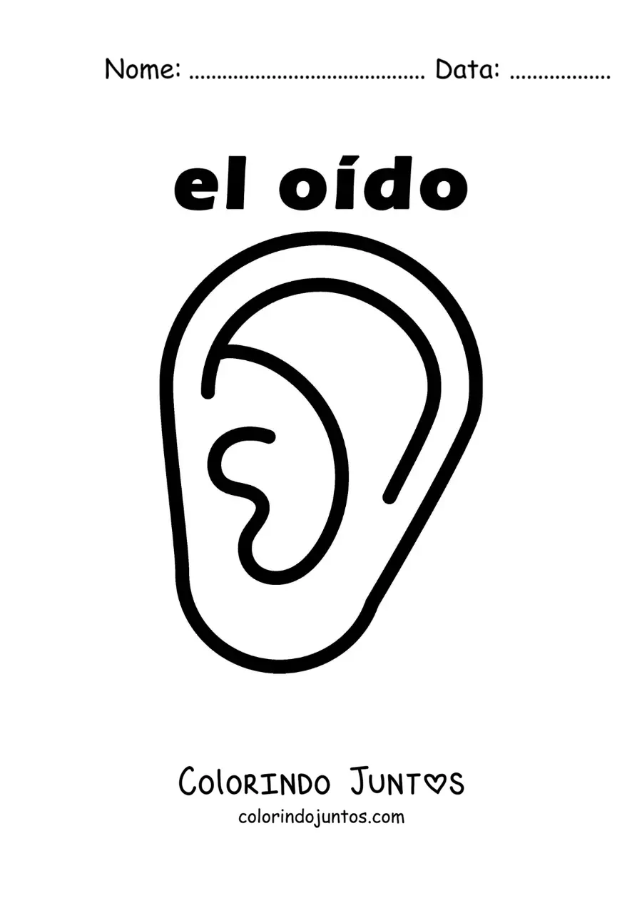 Desenho para colorir de ficha educativa do sentido da audição