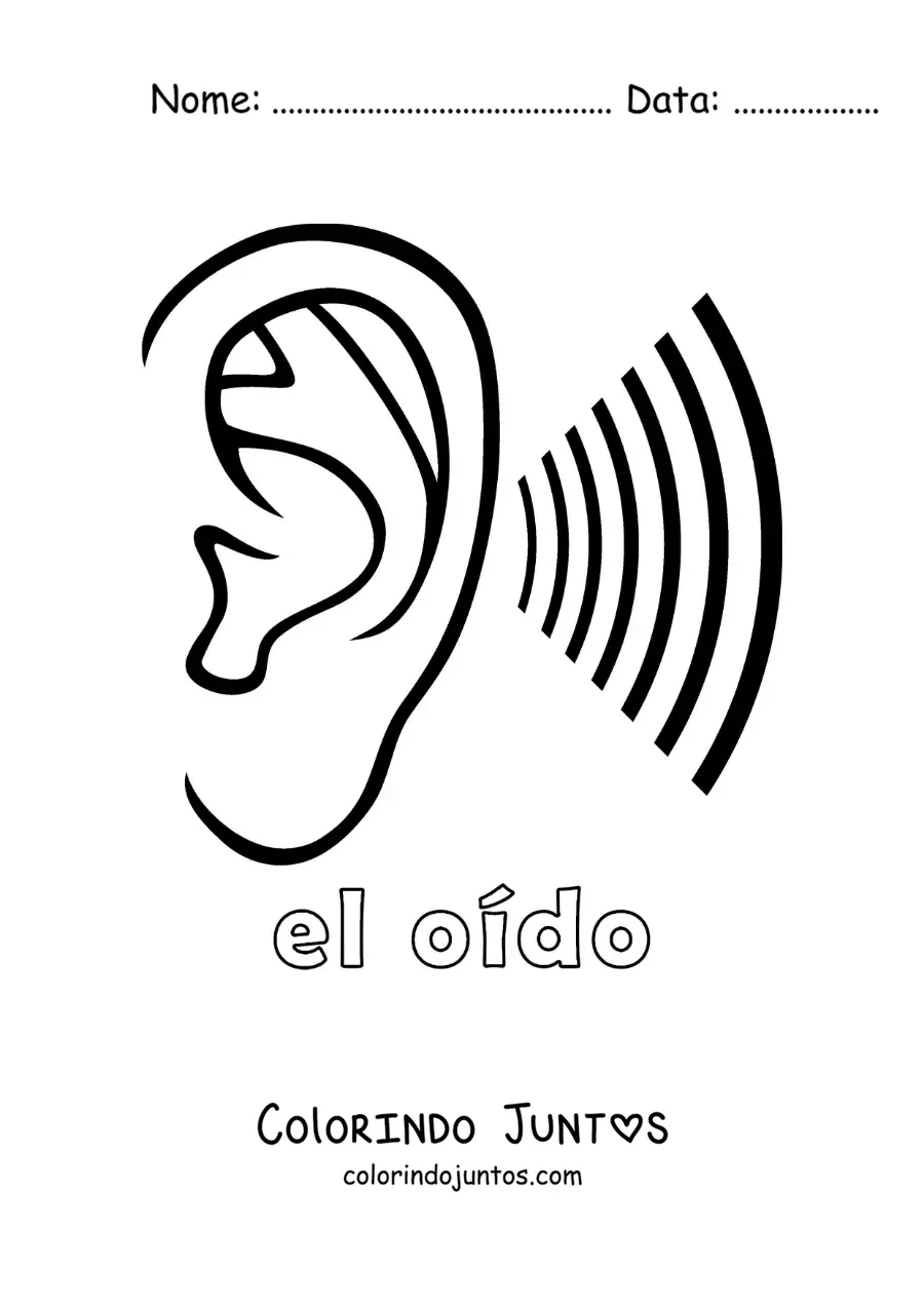 Desenho para colorir de um ouvido escutando ondas sonoras