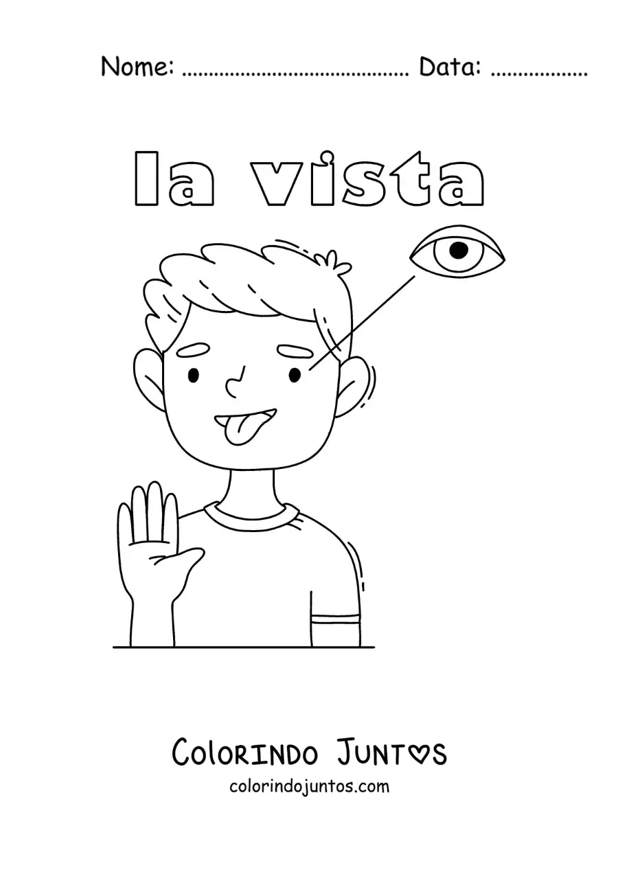 Desenho para colorir do sentido da visão no corpo humano