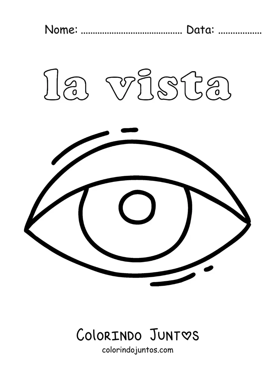 Desenho para colorir do olho e do sentido da visão