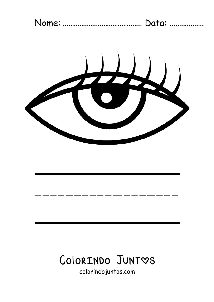 Desenho para colorir de atividade educativa para crianças sobre o sentido da visão