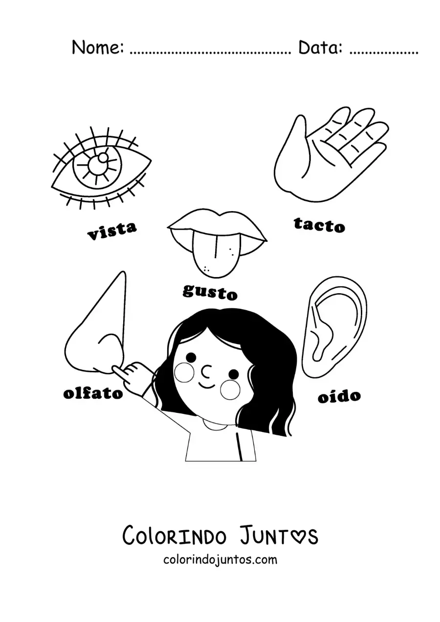 Desenho para colorir dos órgãos dos 5 sentidos animados para crianças