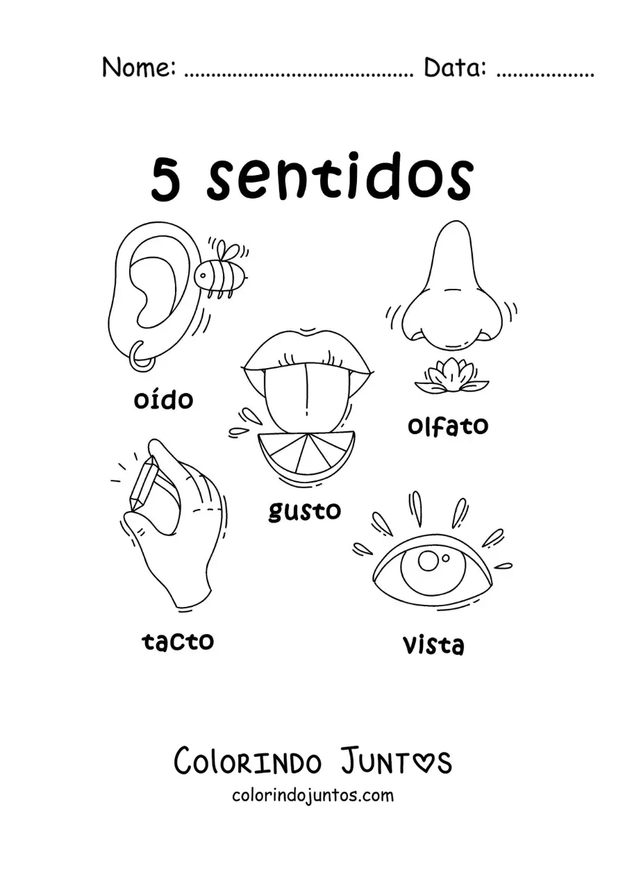 Desenho para colorir de exemplos animados dos 5 sentidos para crianças