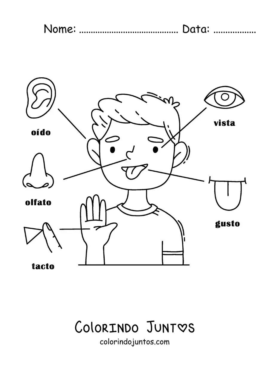 Desenho para colorir dos 5 sentidos no corpo humano para crianças
