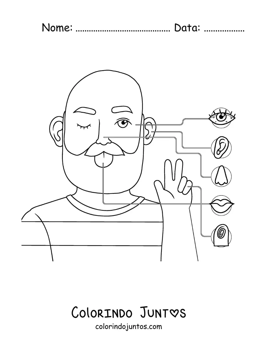 Desenho para colorir dos órgãos dos 5 sentidos no corpo