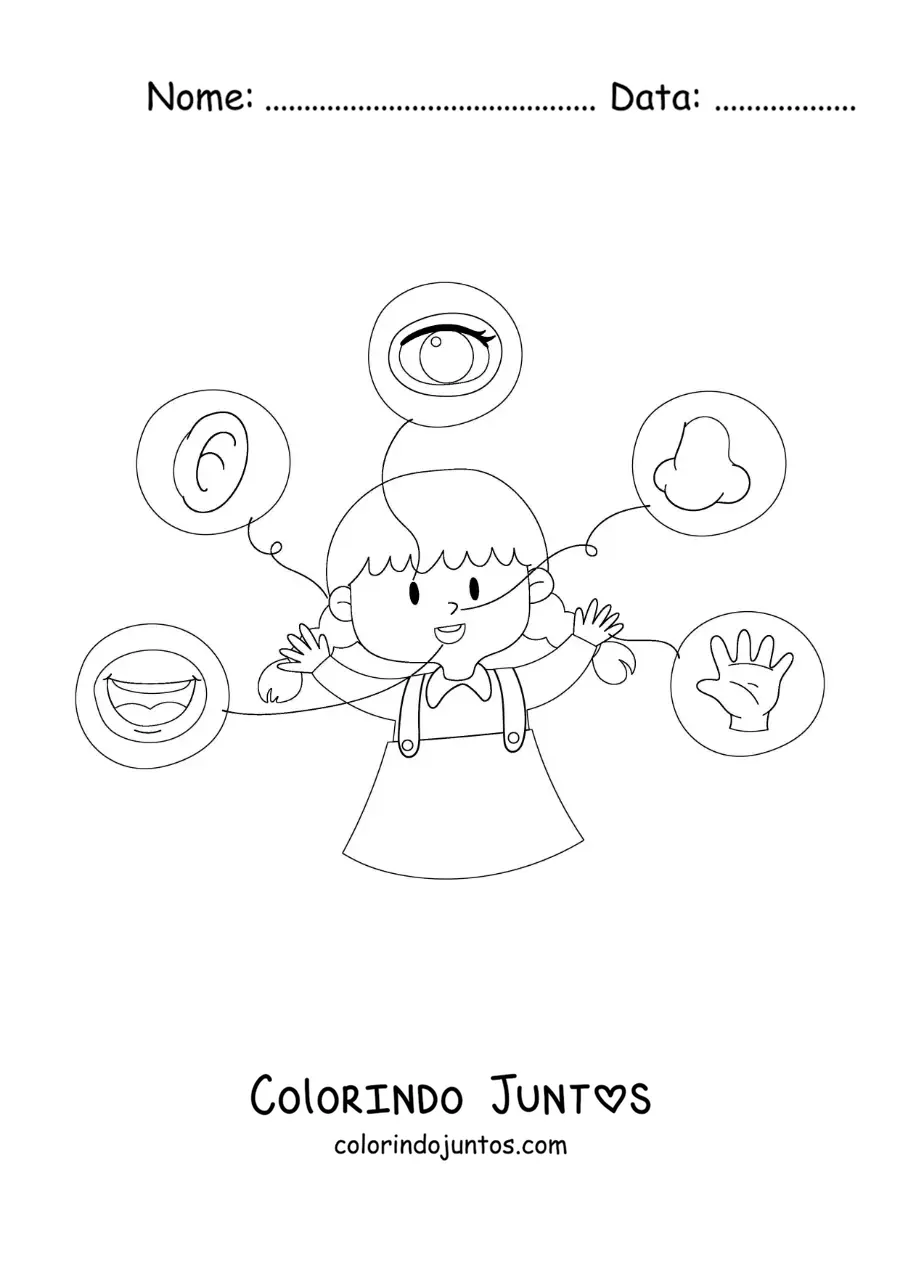 Desenho para colorir dos 5 sentidos indicados no corpo humano