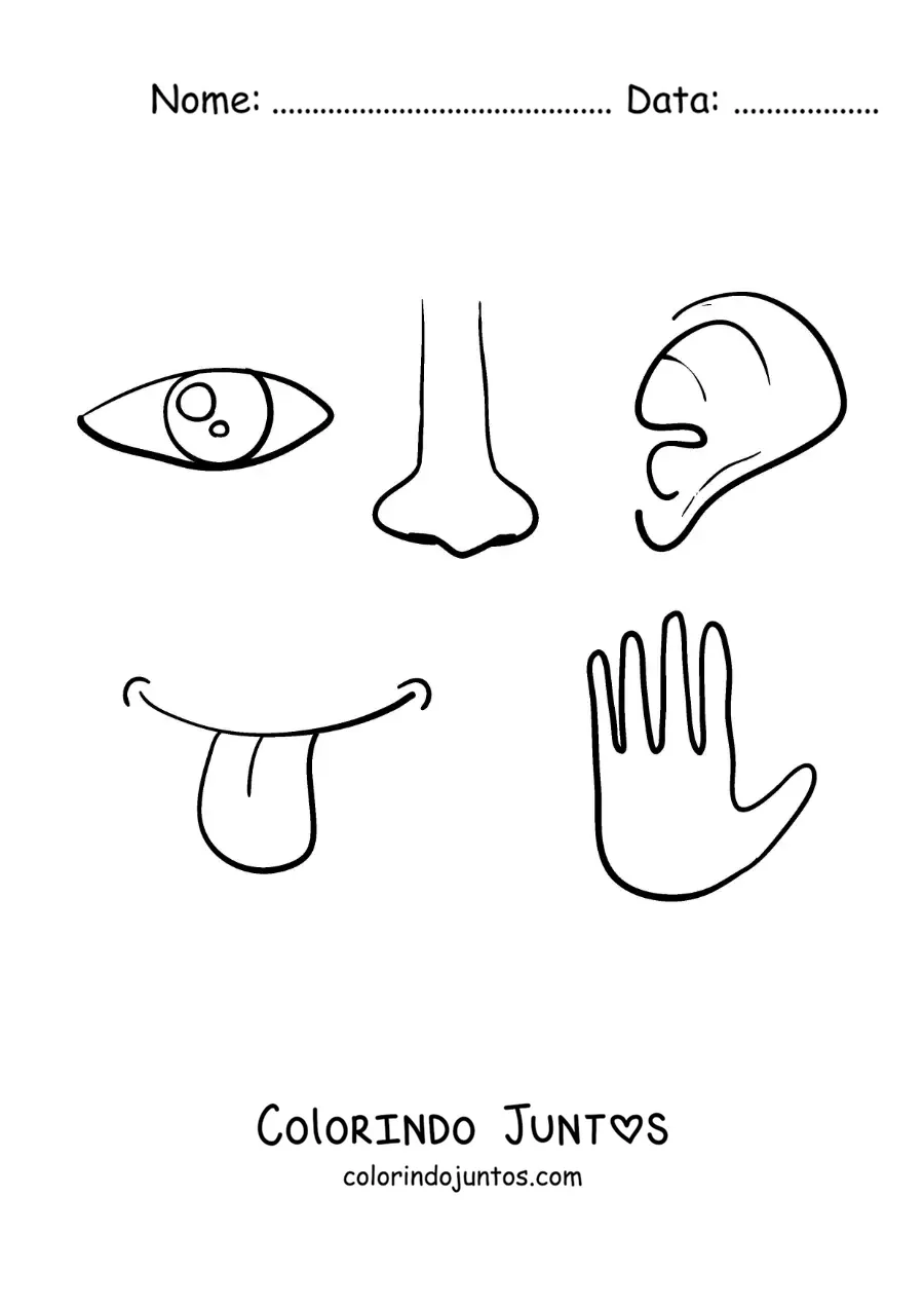 Desenho para colorir de partes do corpo dos 5 sentidos