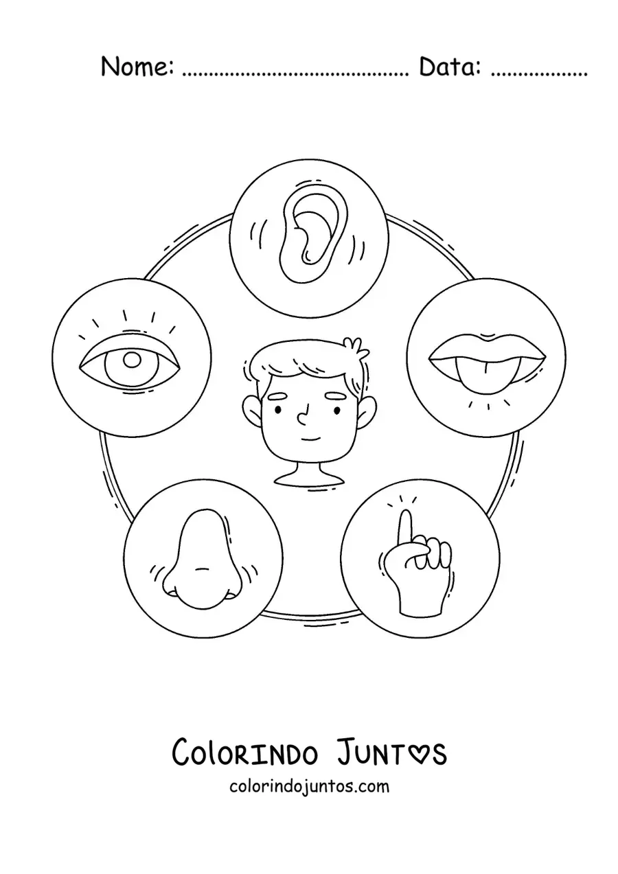 Desenho para colorir de ficha educativa com desenhos animados dos cinco sentidos