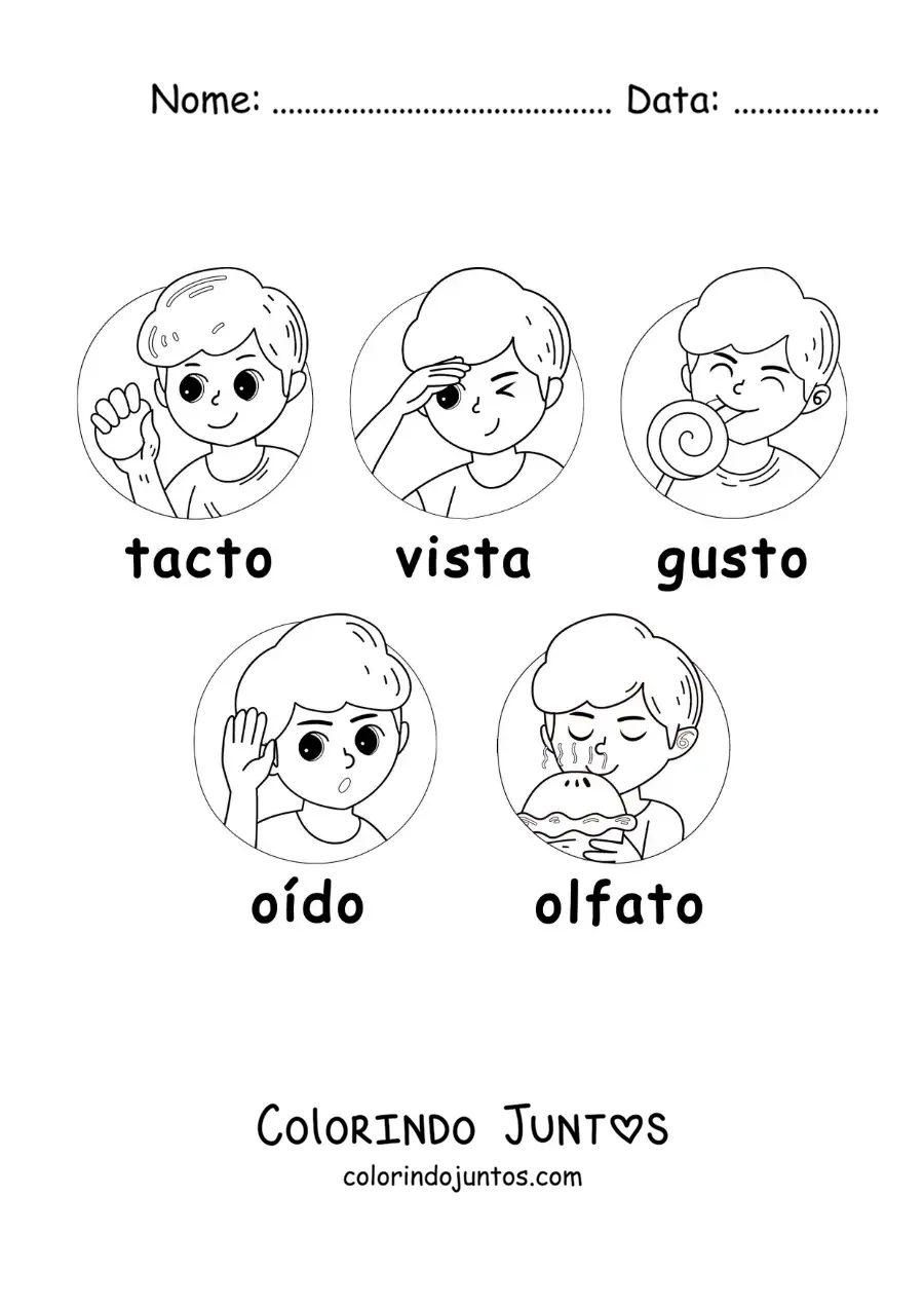Desenho para colorir de desenhos animados dos cinco sentidos para crianças
