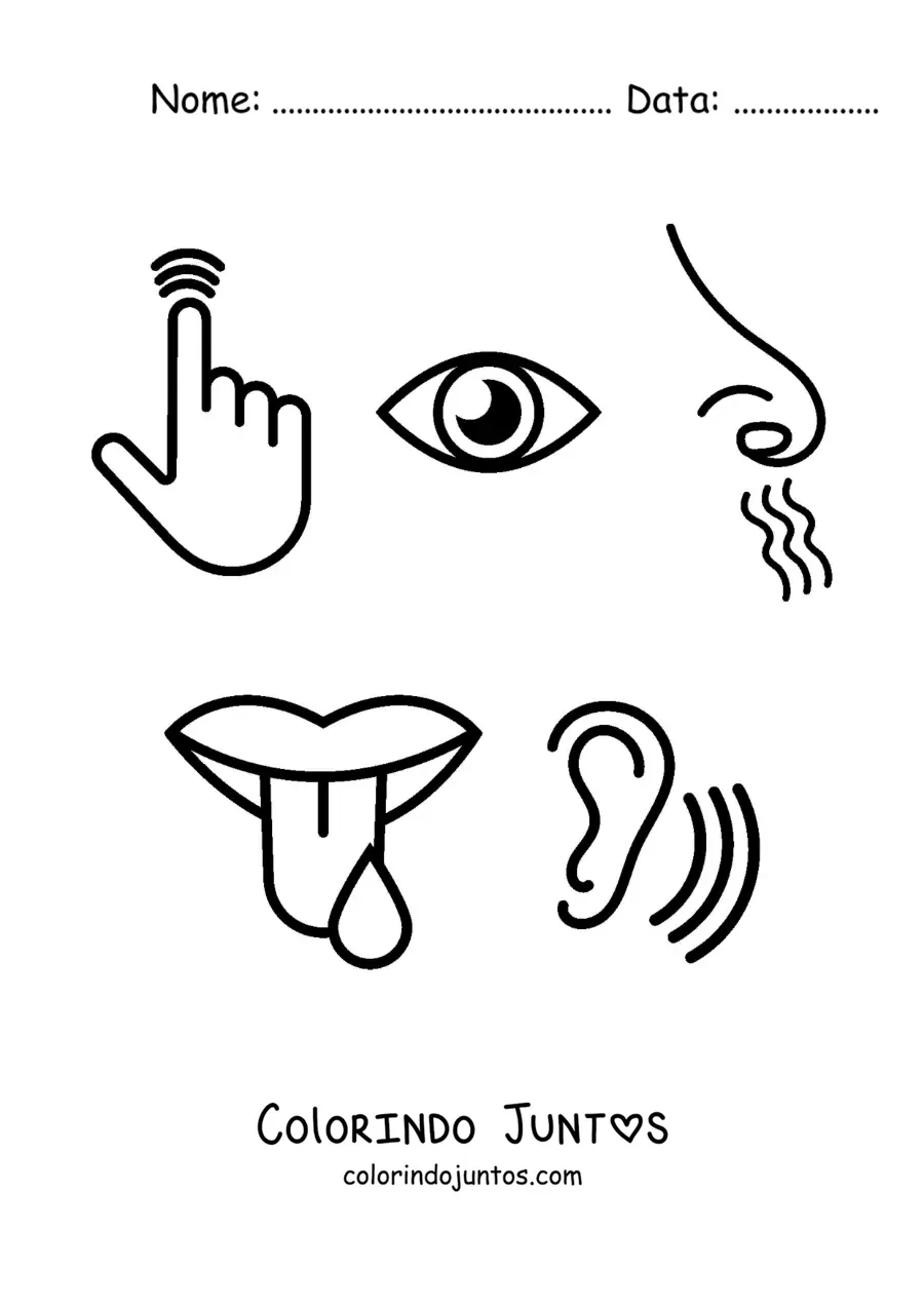 Desenho para colorir de símbolos dos cinco sentidos