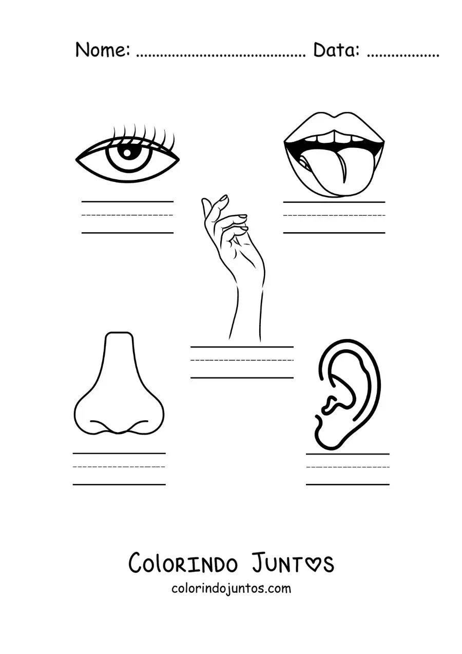 Desenho para colorir de atividade educativa dos cinco sentidos