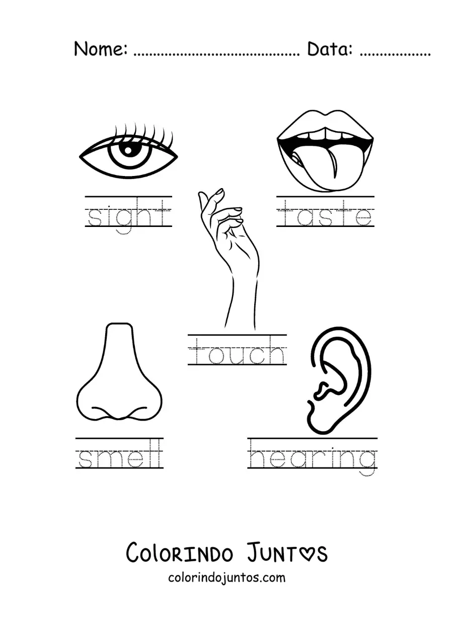 Desenho para colorir de atividade educativa dos cinco sentidos em inglês