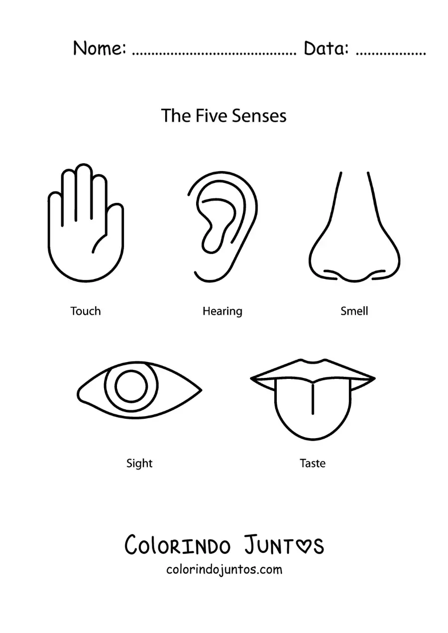 Desenho para colorir dos cinco sentidos em inglês para crianças