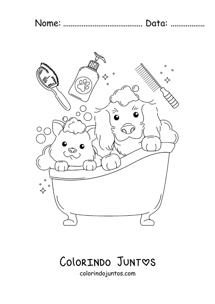 Desenho para colorir de um cachorro e um gato fofos tomando banho